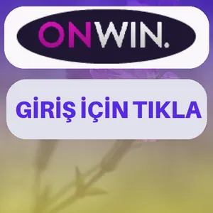 Onwin giriş